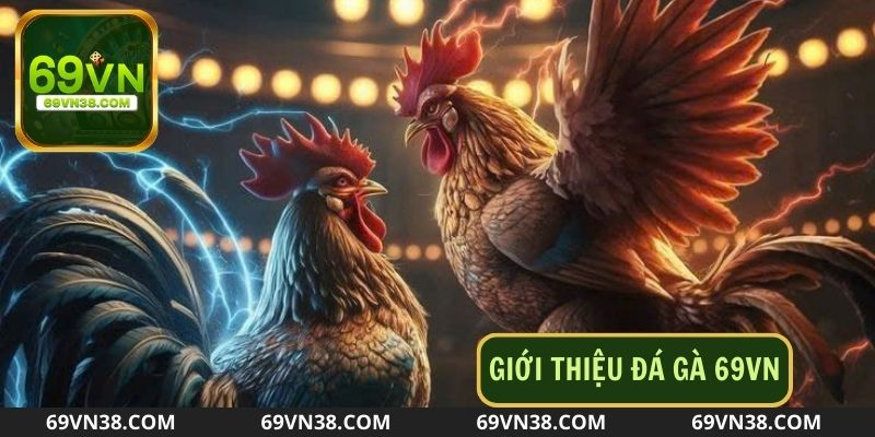 Giới thiệu đá gà 69vn