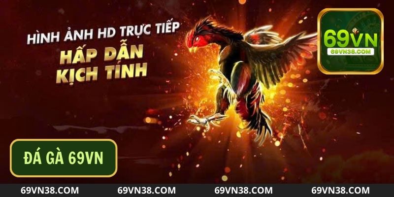 Mẹo Chơi Đá Gà 69VN Thắng Lớn Từ Chuyên Gia Là Gì?