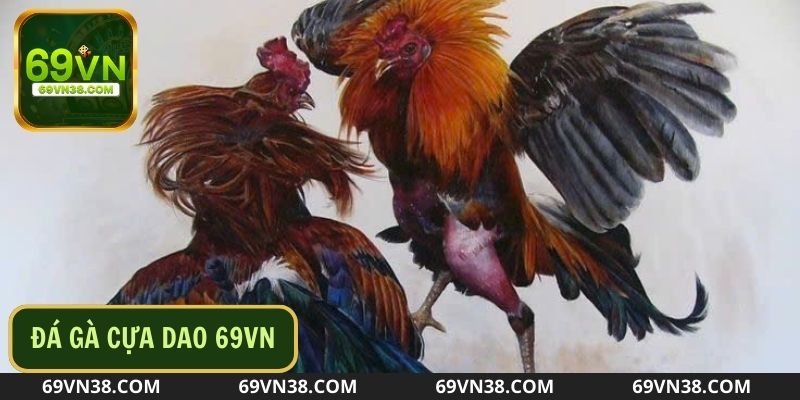 Tham gia ngay đá gà cựa dao cực mãn nhãn tại 69vn