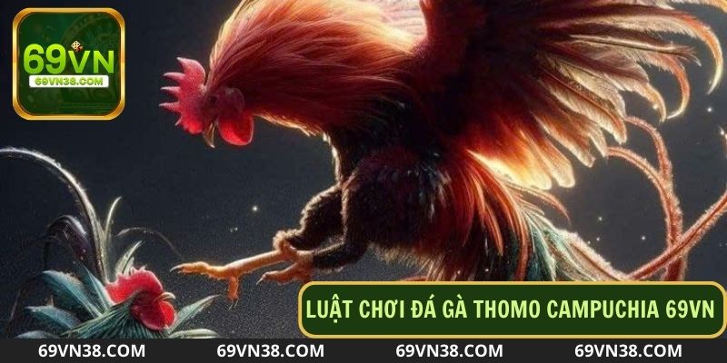 Luật chơi cược gà thomo dành cho các newbie mới gia nhập