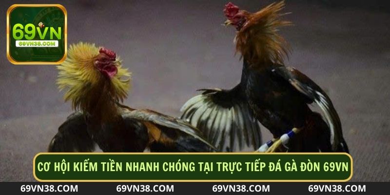 Việc kiếm tiền từ trực tiếp đá gà đòn trở nên dễ dàng và thú vị hơn